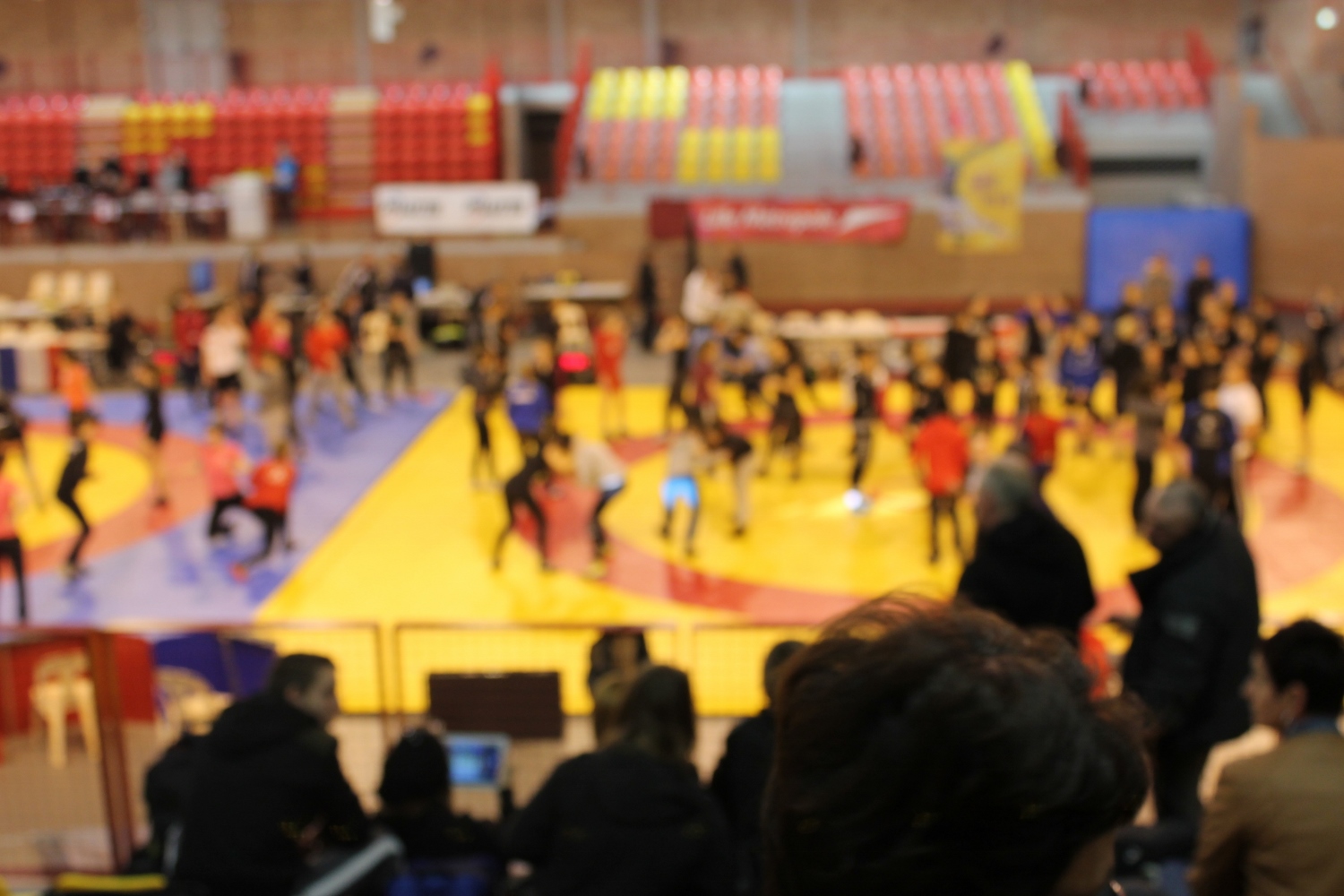 21 mars 2015 - Championnats de France de Lutte féminine Minimes, Cadettes, Juniors à Lomme